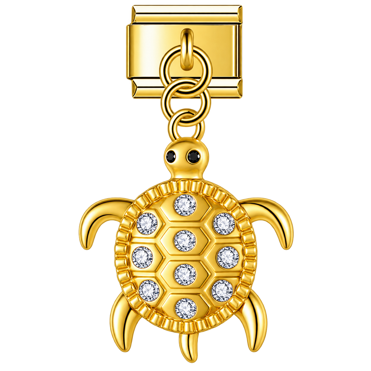 Tortue