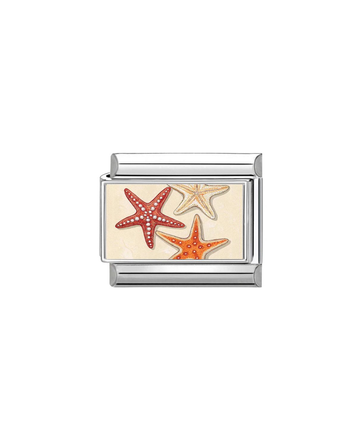 Étoile de Mer Orange