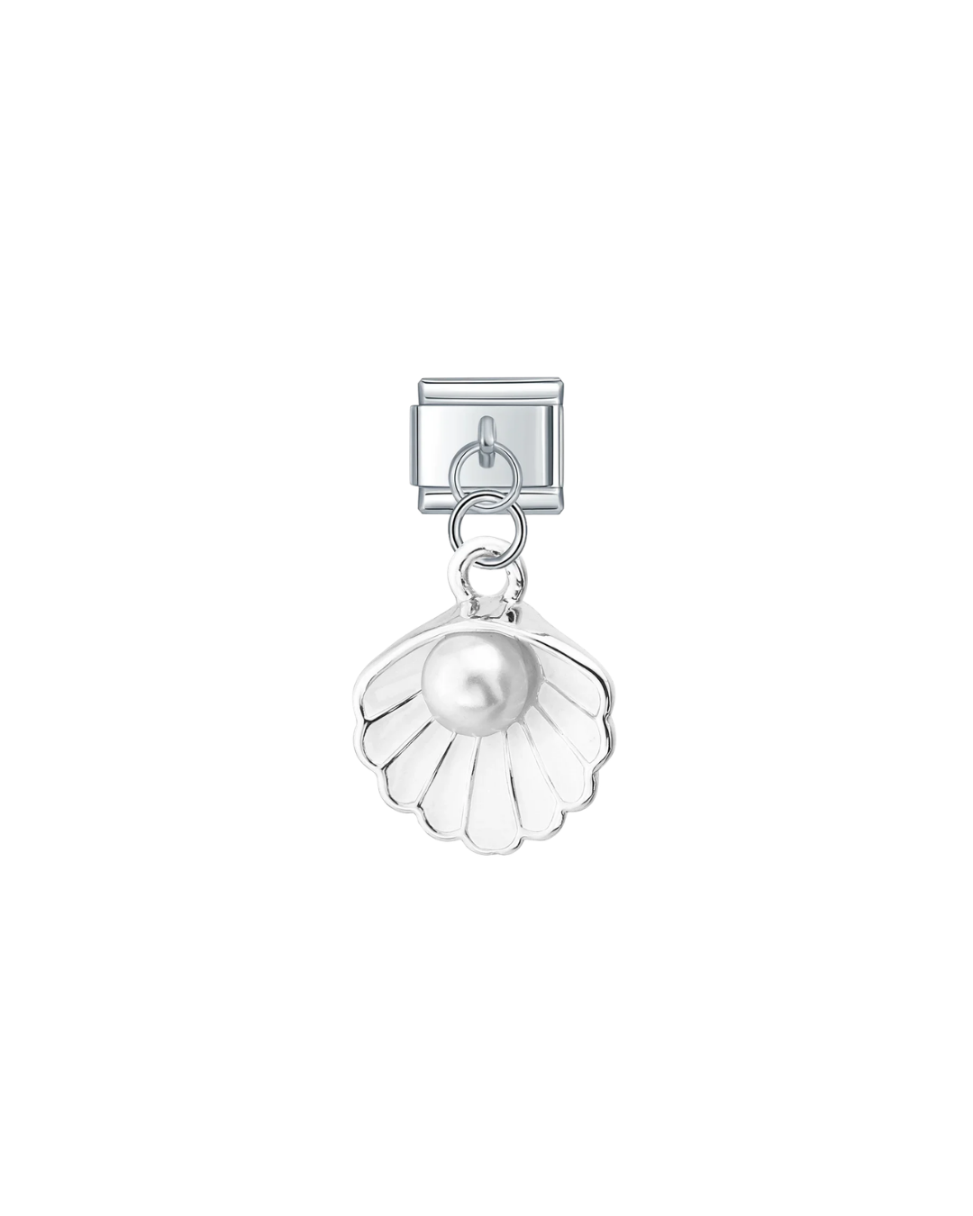 Coquillage Blanc