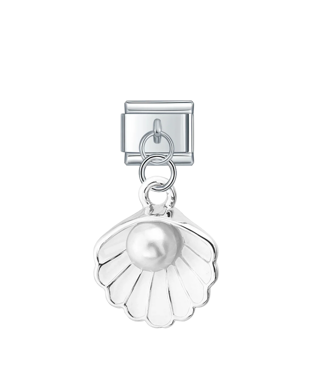 Coquillage Blanc