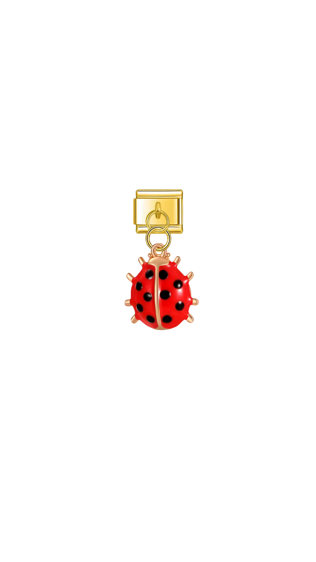 charm-italien-coccinelle