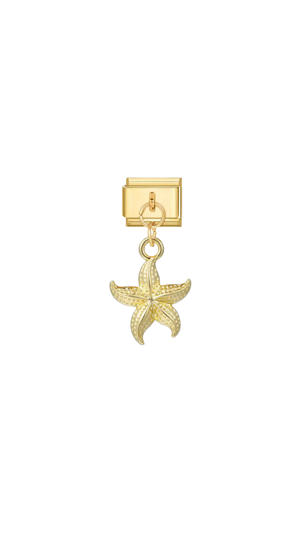 charm-italien-etoile-mer