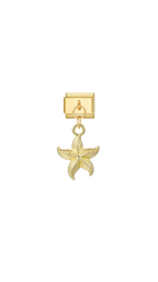 charm-italien-etoile-mer