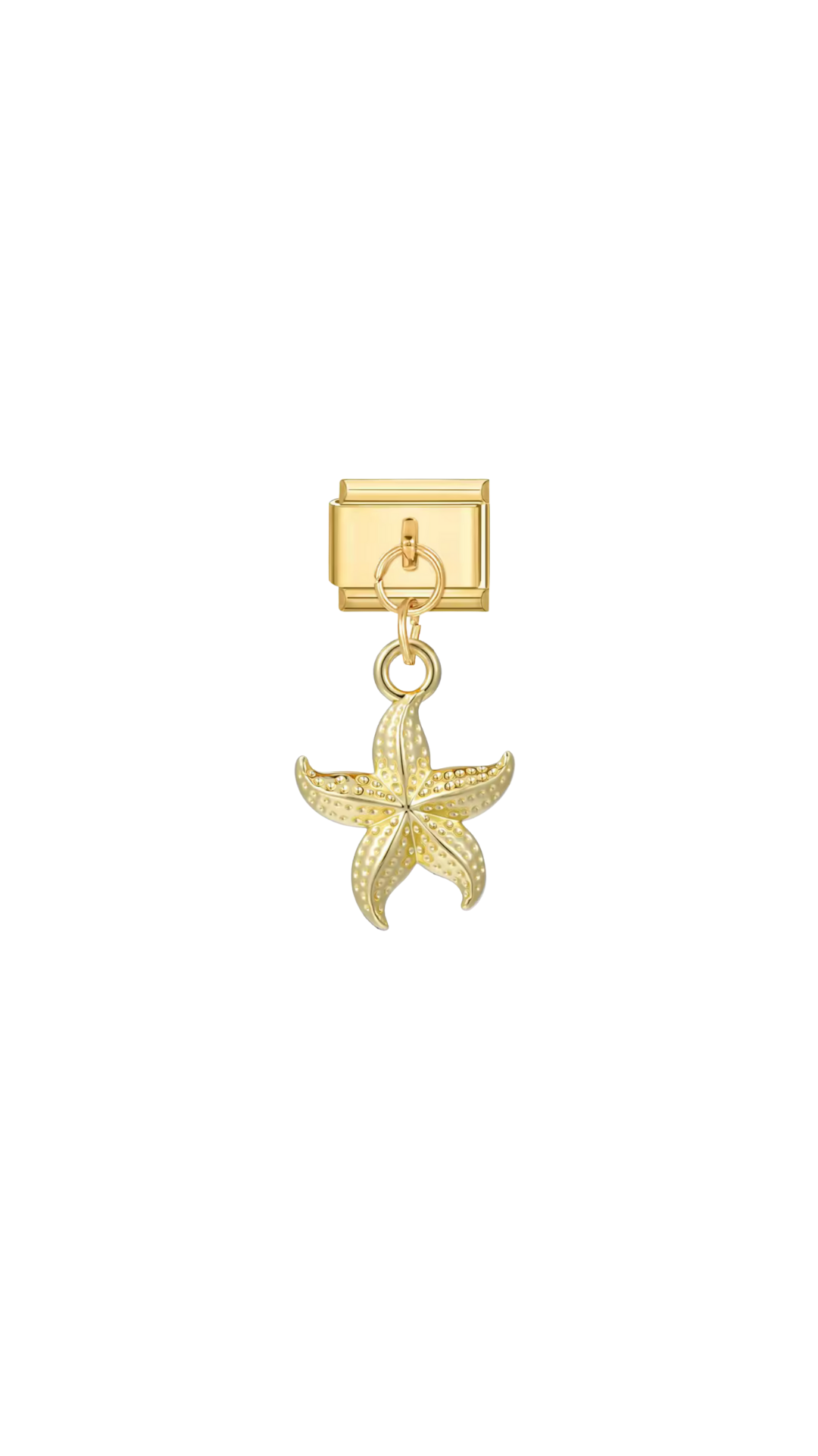 charm-italien-etoile-mer
