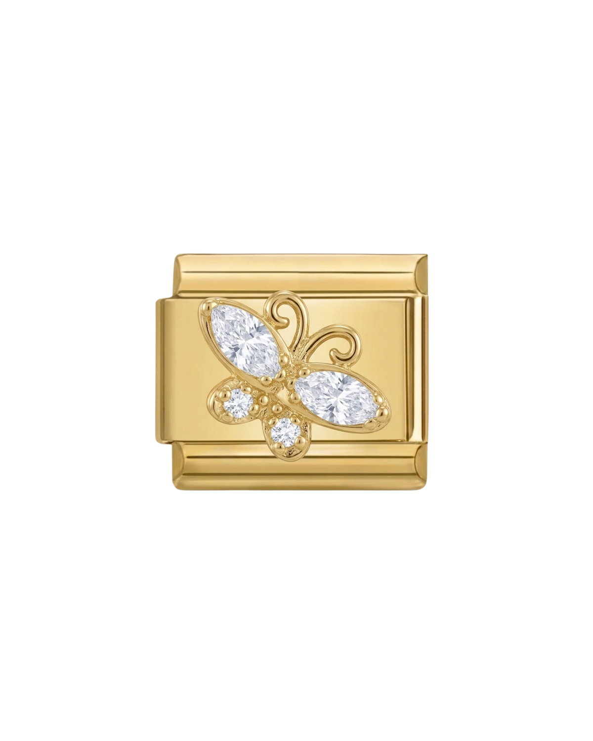 Papillon