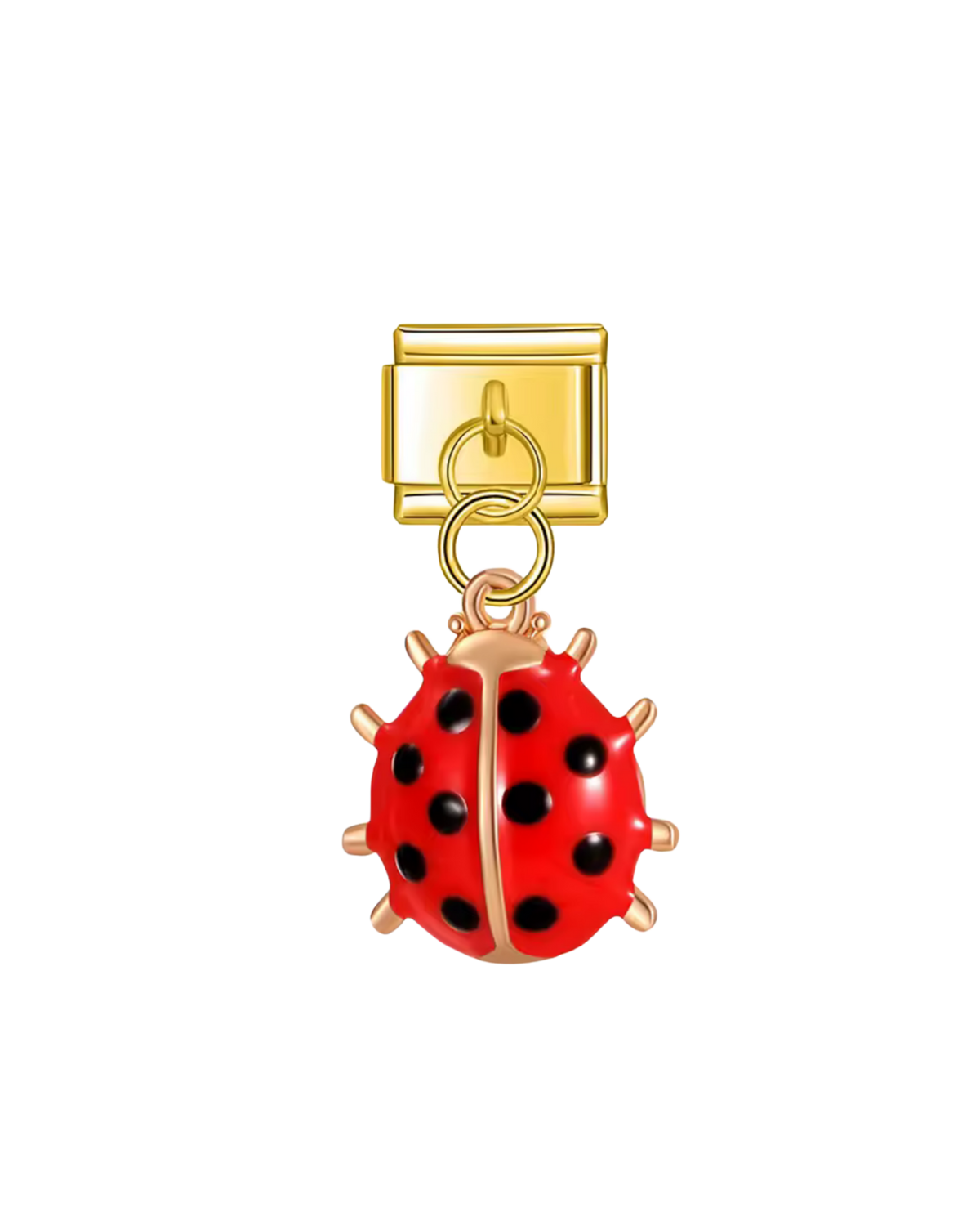 Coccinelle
