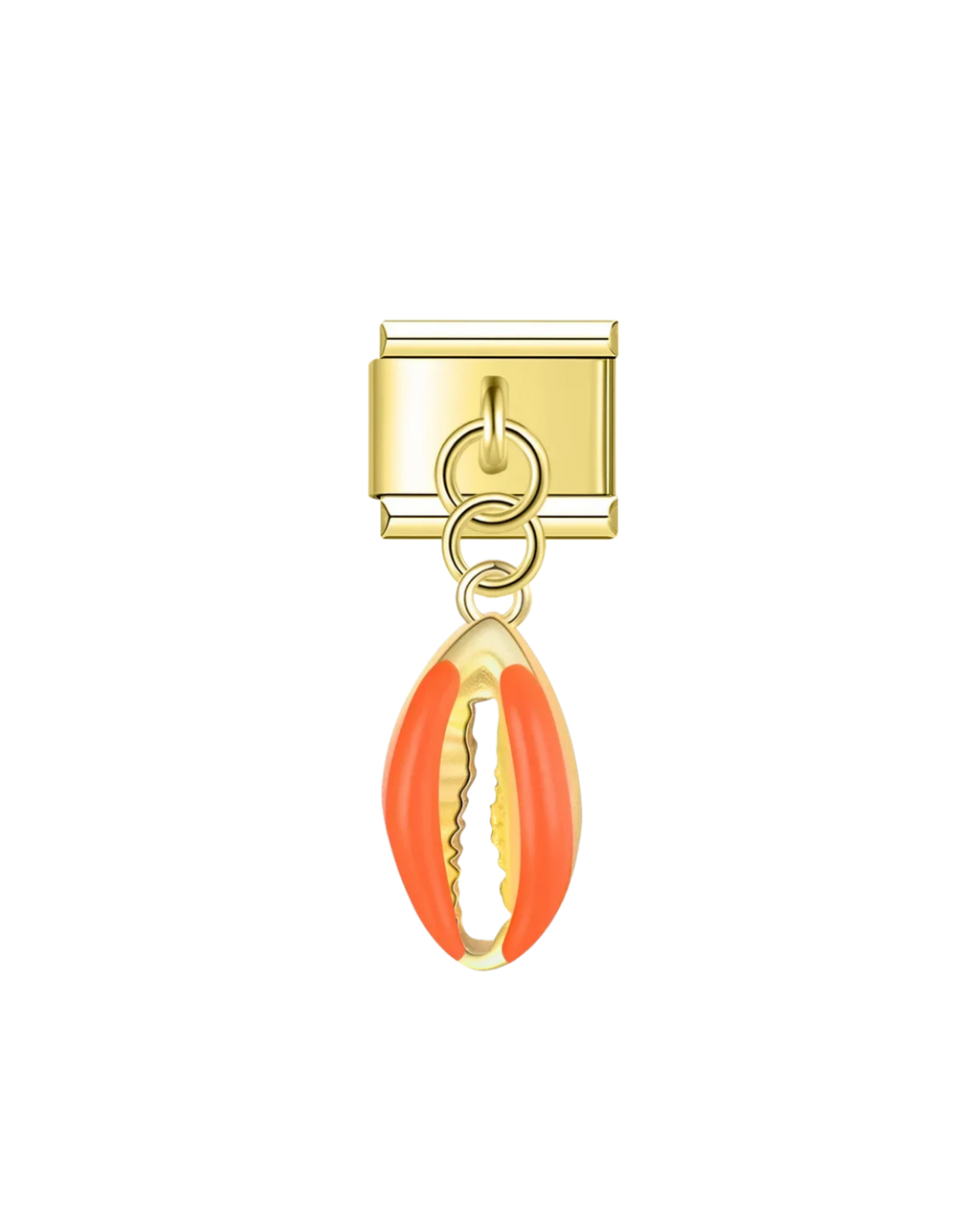 Coquillage Orange