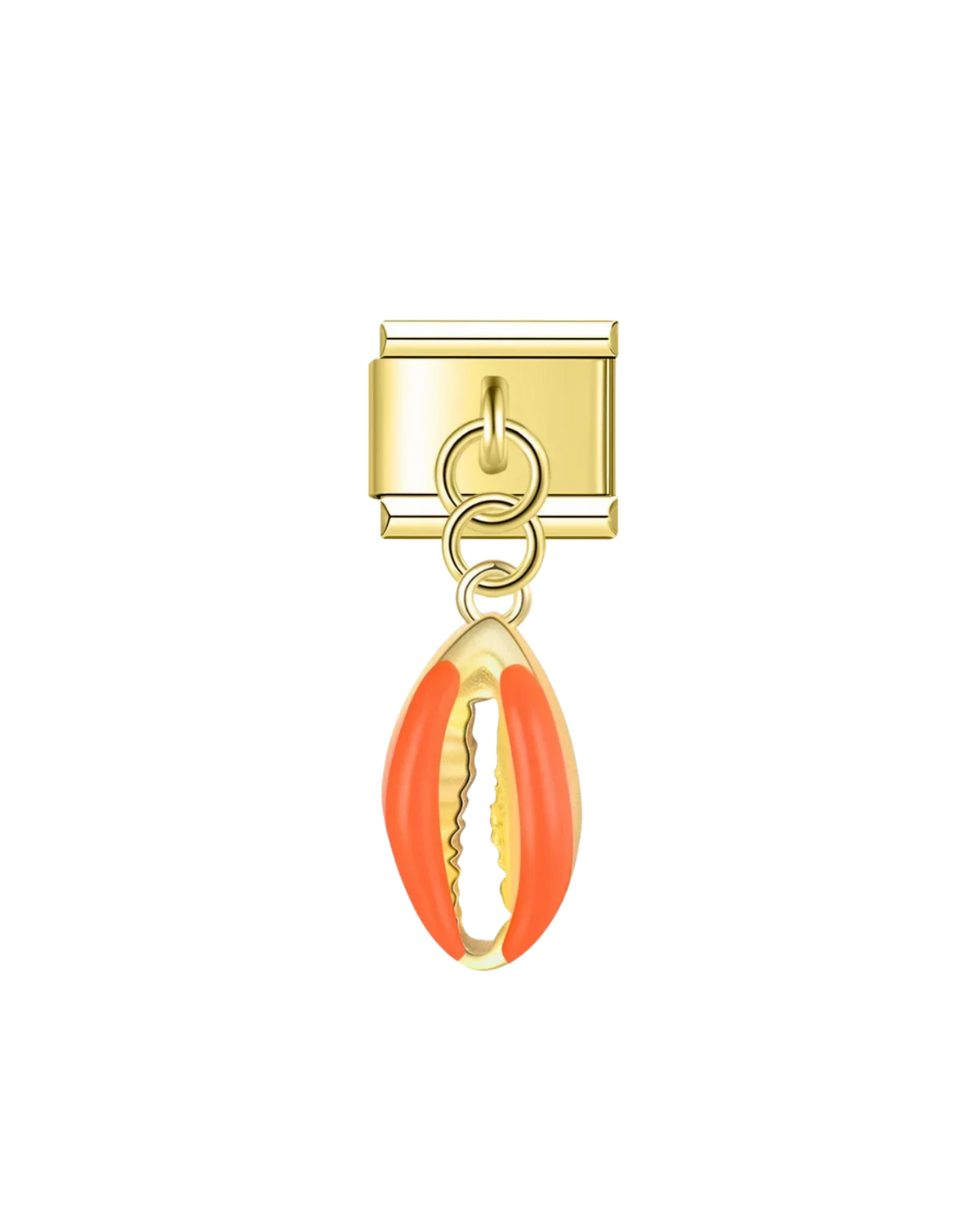 Coquillage Orange