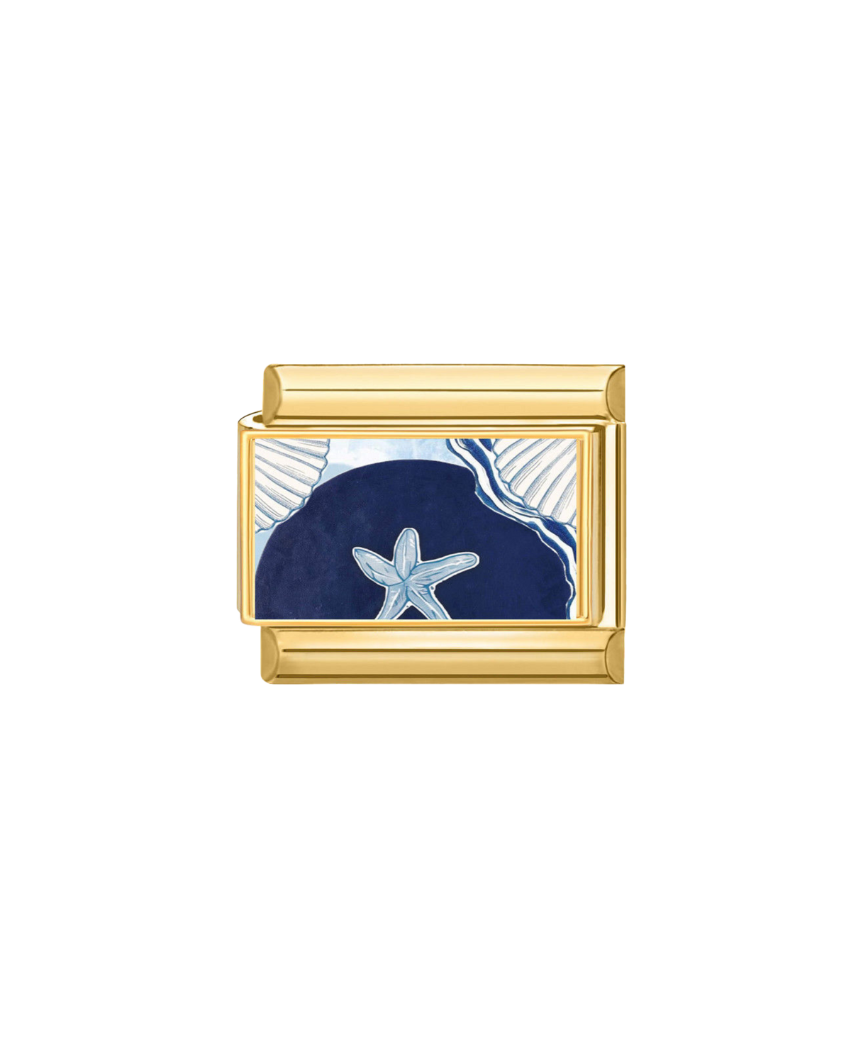 Étoile de Mer Bleue
