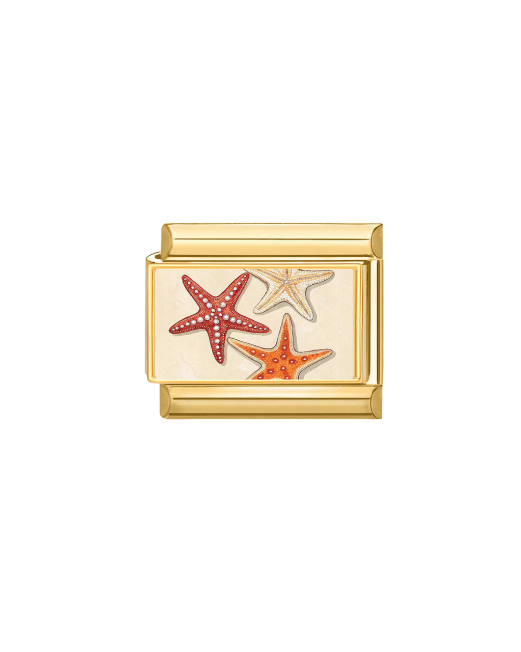Étoiles de Mer Orange