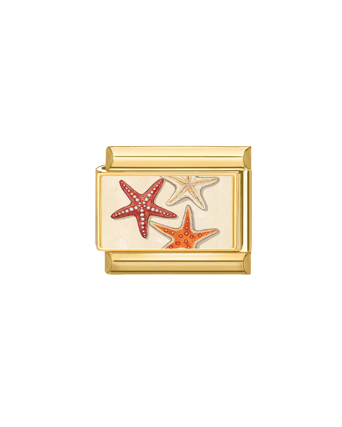 Étoiles de Mer Orange