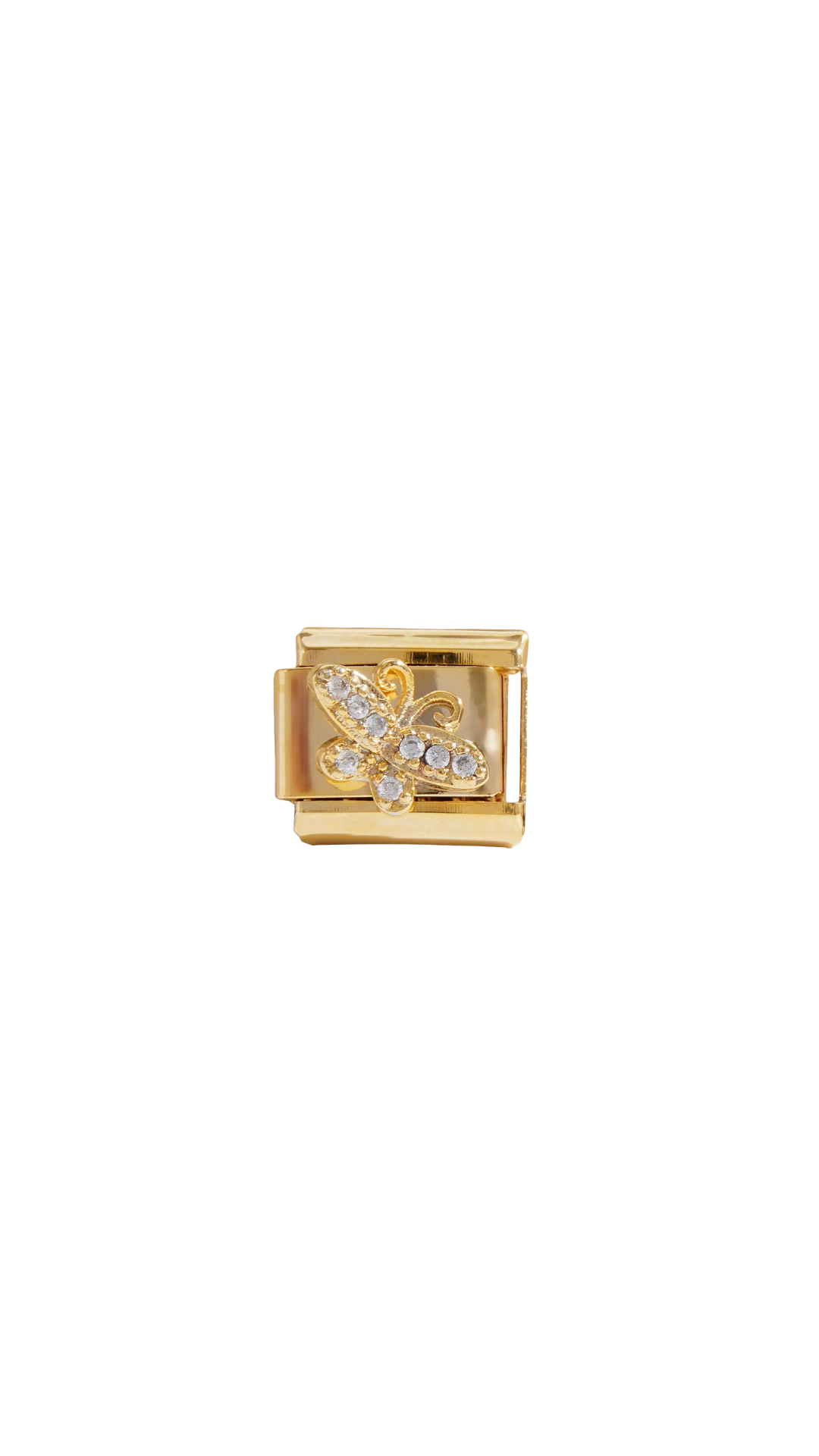 charm-italien-papillon
